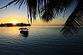 047 Rarotonga - Costa sud-orientale