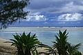 051 Rarotonga - Costa sud-orientale