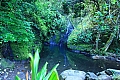 057 Rarotonga - Wigmore's fall