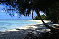 061 Rarotonga - Costa sud