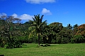 074 Rarotonga - Costa sud - Hospital Hill