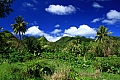 075 Rarotonga - Costa sud - Hospital Hill
