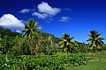 076 Rarotonga - Costa sud - Hospital Hill