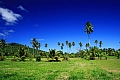077 Rarotonga - Costa sud - Hospital Hill