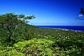 081 Rarotonga - Costa sud - Hospital Hill
