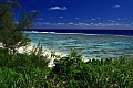 084 Rarotonga - Costa nord-occidentale - Black rocks