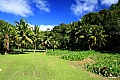 106 Rarotonga - Costa orientale