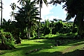 108 Rarotonga - Costa orientale