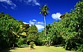 116 Rarotonga - Cross island track