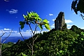 121 Rarotonga - Cross island track