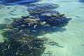 144 Aitutaki
