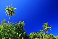 153 Aitutaki