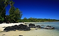 154 Aitutaki