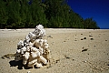 159 Aitutaki