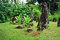 179 Aitutaki