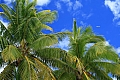 209 Aitutaki - Lagoon sailing - Maina island