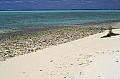 218 Aitutaki - Lagoon sailing - Maina island