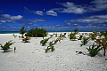 229 Aitutaki - Lagoon sailing - Honeymoon island