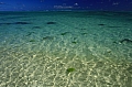 245 Aitutaki