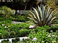 Hostaria Cienenga 0011