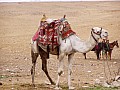 Piana di Giza-0006