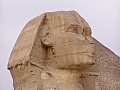 Piana di Giza-0010
