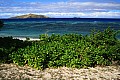 Isole Fiji-0025