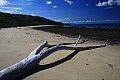 Isole Fiji-0033