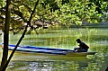 075 Underground River N.P.