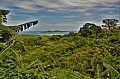 085 North Palawan