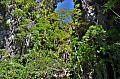 104 Bacuit Archipelago