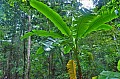 146 North Palawan