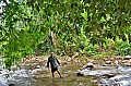151 North Palawan
