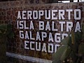 Isola Baltra 0004