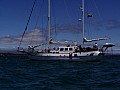 Isola Baltra 0006