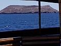 Isola Baltra 0009