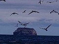 Isola Baltra 0011