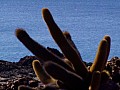 Isola Bartolome' 0015
