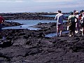 Isola Fernandina 0001