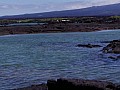 Isola Fernandina 0002