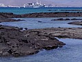 Isola Fernandina 0003