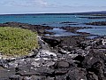 Isola Fernandina 0011