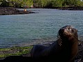 Isola Fernandina 0026