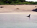 Isola Floreana 0002