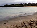 Isola Floreana 0004