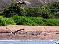 Isola Rabida 0002
