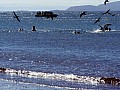 Isola Rabida 0003