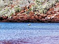 Isola Rabida 0004