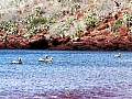 Isola Rabida 0005