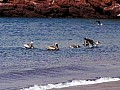 Isola Rabida 0006